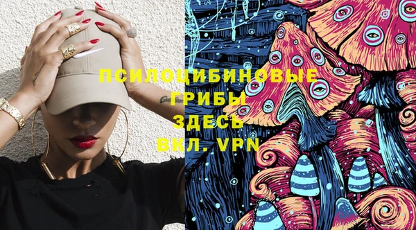 мдпв Абдулино