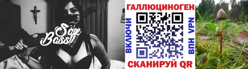 Галлюциногенные грибы мицелий  Тихорецк 