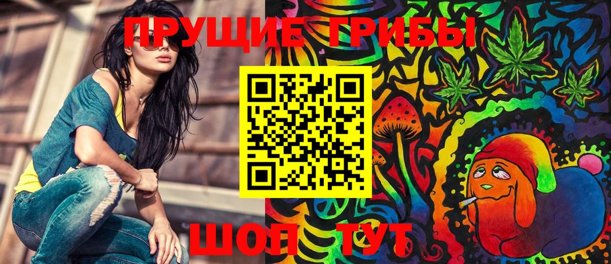 Галлюциногенные грибы Psilocybe  Вход с VPN  Тихорецк 